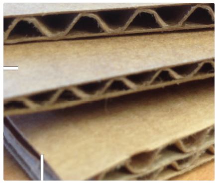 Bao bì carton 3 lớp