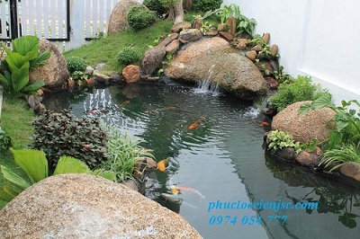 Thiết kế, thi công hồ cá Koi