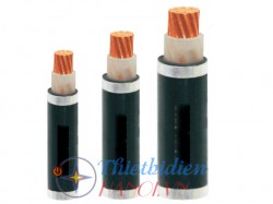 Dây cáp điện Cadisun