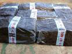 Cao su SVR 20