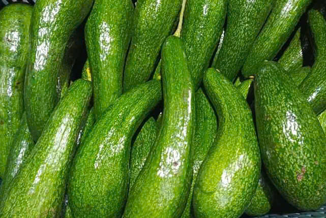 Bơ