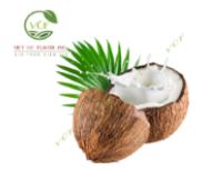 Bột cốt dừa