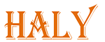 Haly Service Trading Co., Ltd logo