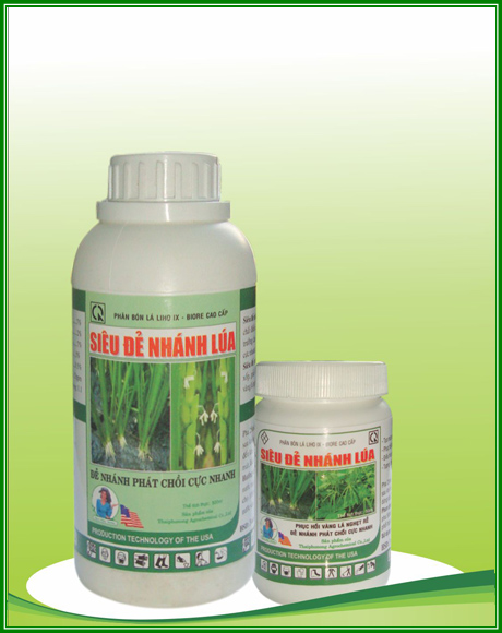 Siêu đẻ nhánh lúa