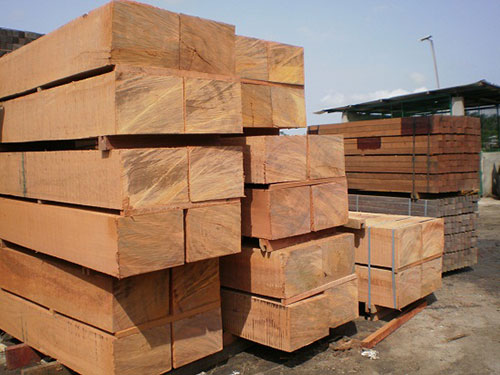 Gỗ Beech xẻ sấy