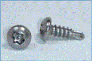Vít chống trộm TX05