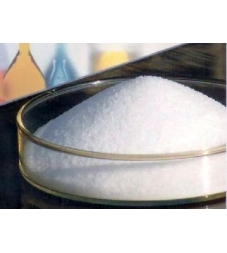 Polymer Anion