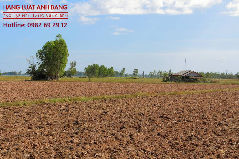 Tư vấn thủ tục chuyển nhượng quyền sử dụng đất