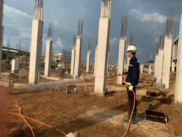 Dịch vụ phòng chống mối