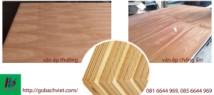 Ván Ép Chống Thấm