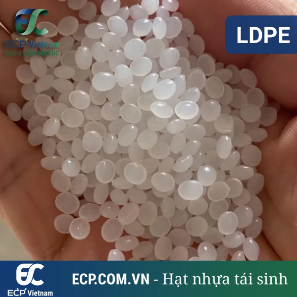 Hạt nhựa LDPE tái chế