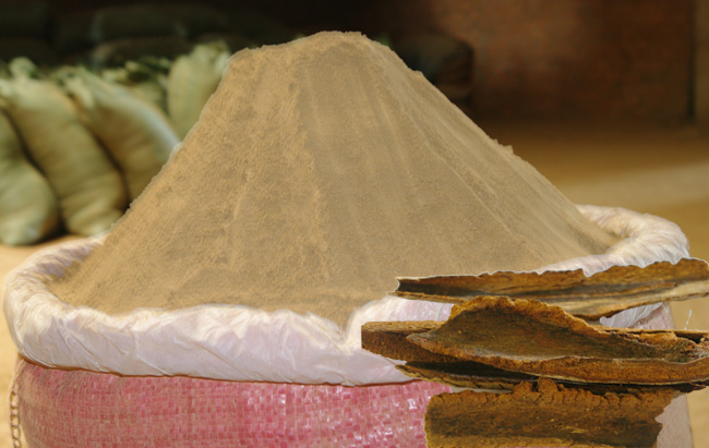 Bột keo