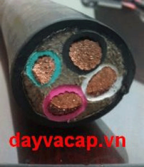 Cáp cao su