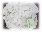 Xơ Polyester 7D HCS