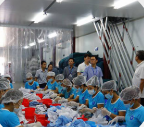 Giặt sấy quần áo phòng sạch