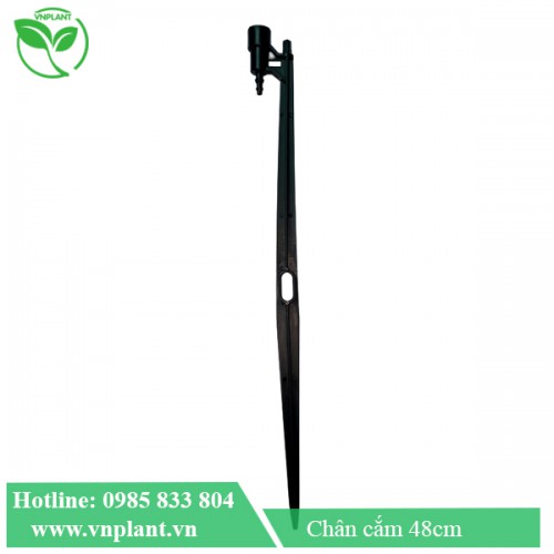 Chân cắm béc