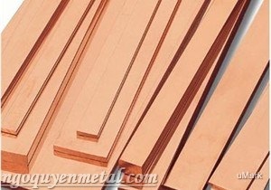 Đồng thanh cái nhập khẩu