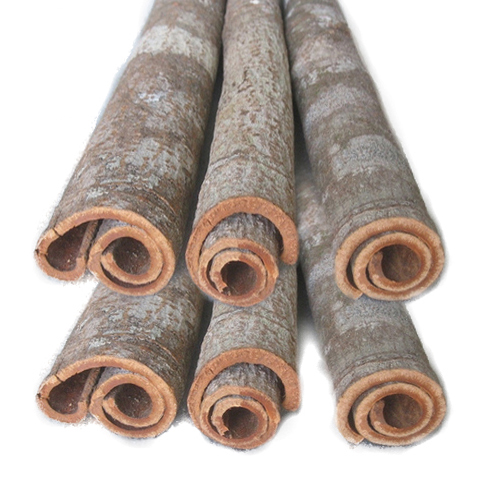 Quế ống điếu