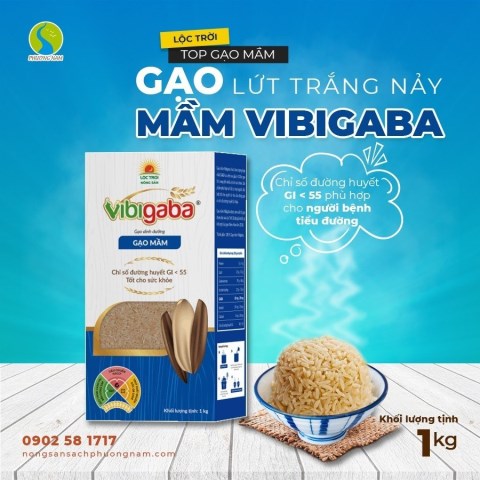 Gạo mầm VIBIGABA