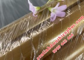 Sơn tĩnh điện ốp viền sân thượng