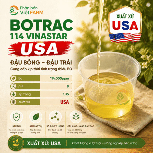 Botrac 114 Vinastar - USA