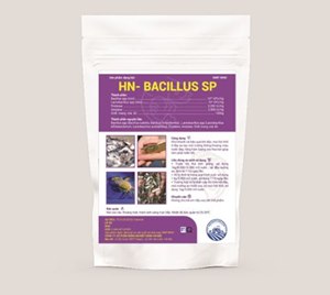 HN- Bacillus SP