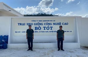 Bảo Vệ Tài Sản Cố Định