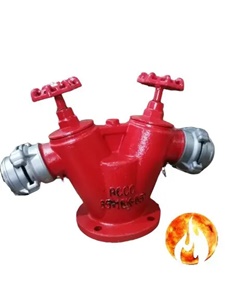Trụ Chữa Cháy Ngoài Nhà 2 Cửa D65