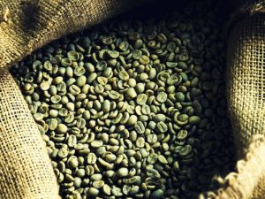 Cà phê hạt nhân Arabica S16