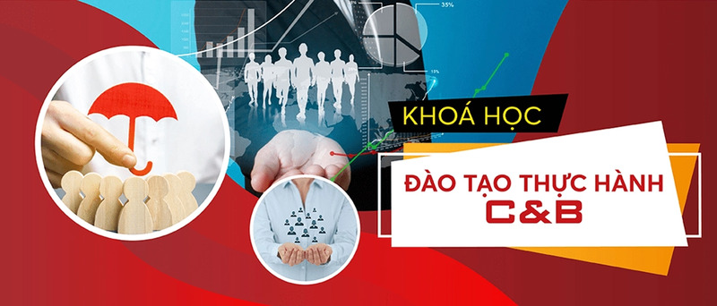 Khóa học đào tạo thực hành C&B