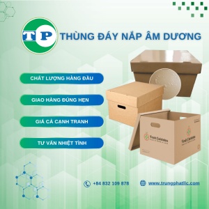 Thùng Đáy Nắp Âm Dương