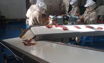 Băng Tải Thực Phẩm