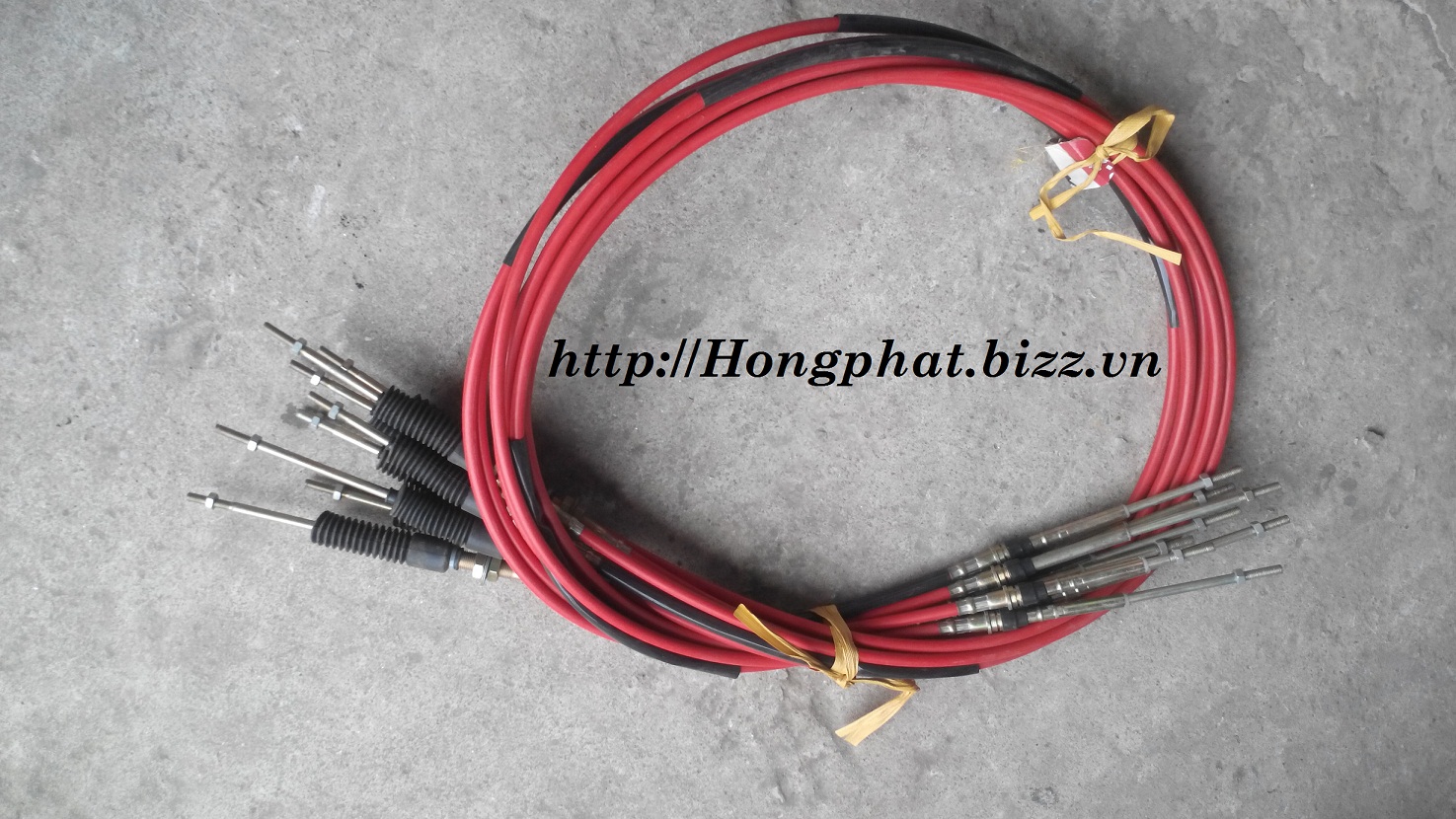 Dây đi số Cửu Long