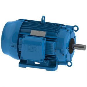Cooling Tower Motor