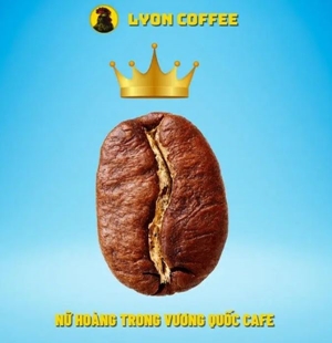 Cà Phê Hạt Moka Cầu Đất