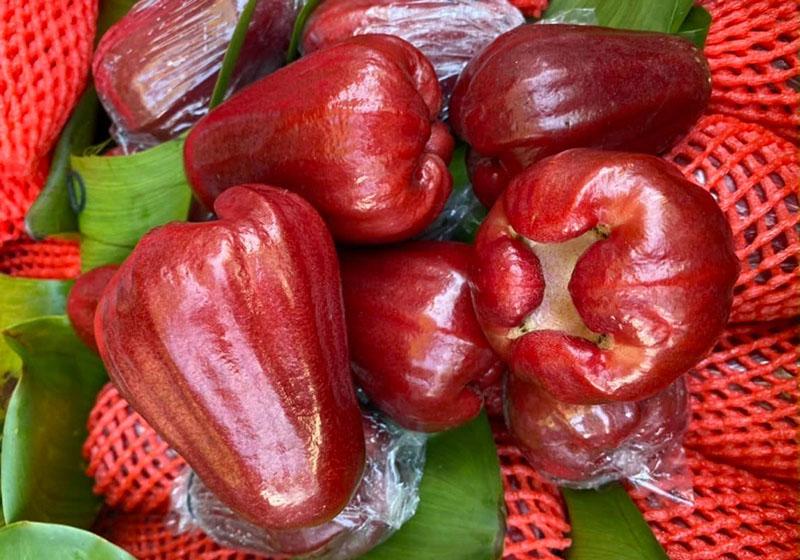 Quả roi