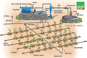Hệ Thống Tưới Tự Động Cho Nhà Vườn
