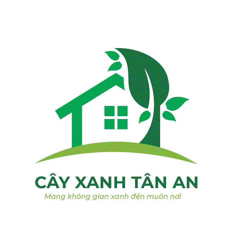Cây Xanh Tân An - Công Ty TNHH TM Đầu Tư Và Xây Dựng Tân An logo