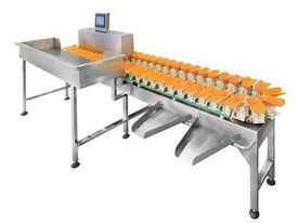 Máy phân loại trọng lượng dạng băng tải