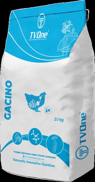 GACINO