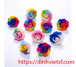 Đầu bông hoa sáp cầu vồng