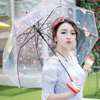Ô dù nhựa trong suốt