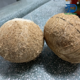 Dừa khô cắt