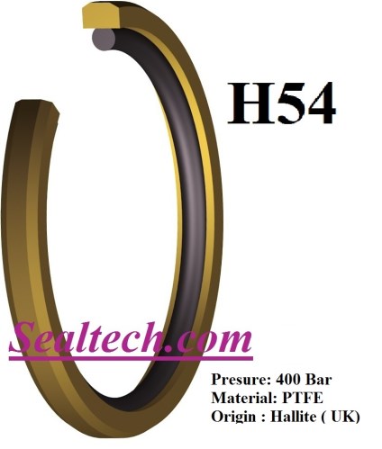 Phớt Piston