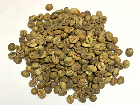 Hạt cà phê xanh Robusta sạch