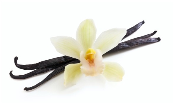 Hương Vani