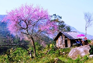 Tour Vĩnh Phúc - Sapa - Vĩnh Phúc 3N2Đ
