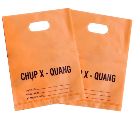 Túi hột xoài
