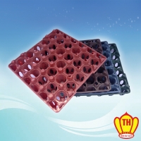 Vỉ hột vịt