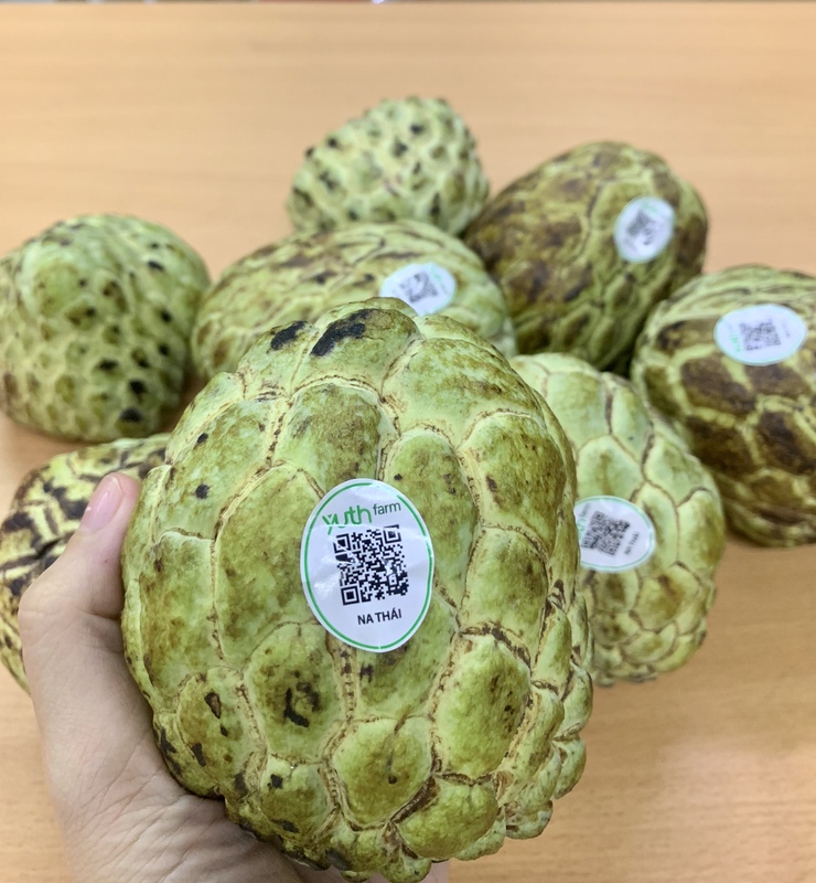 In nhãn Barcode